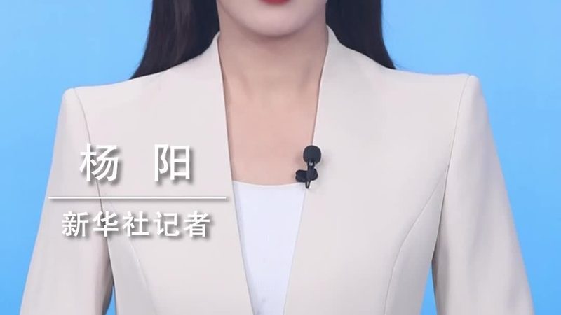 人工智能开发系统的成本构成解析